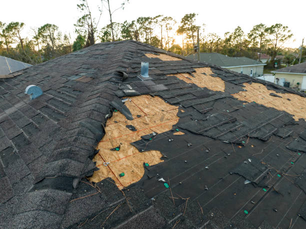 Best Storm Damage Roof Repair  in Brownsville, TX